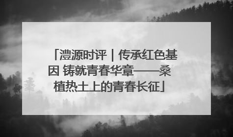 澧源时评｜传承红色基因 铸就青春华章——桑植热土上的青春长征