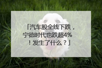 汽车股全线下跌，宁德时代也跌超4%！发生了什么？