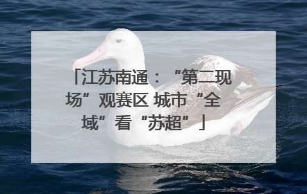 江苏南通：“第二现场”观赛区 城市“全域”看“苏超”