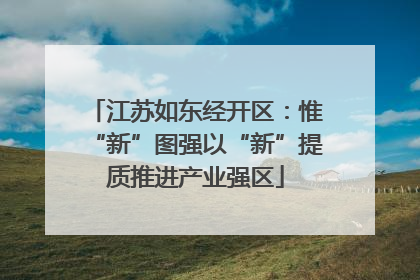 江苏如东经开区：惟“新”图强以“新”提质推进产业强区