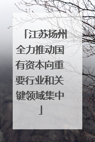 江苏扬州全力推动国有资本向重要行业和关键领域集中