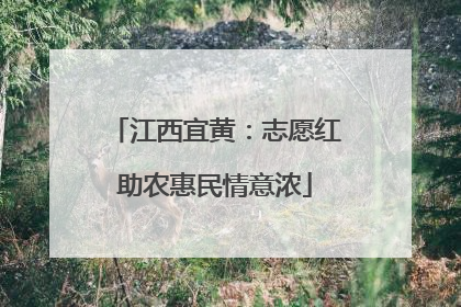 江西宜黄：志愿红助农惠民情意浓