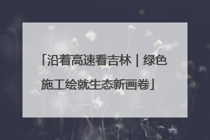 沿着高速看吉林｜绿色施工绘就生态新画卷