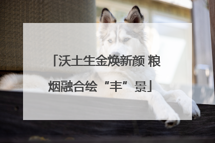 沃土生金焕新颜 粮烟融合绘“丰”景