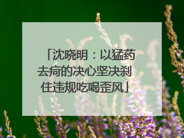 沈晓明：以猛药去疴的决心坚决刹住违规吃喝歪风
