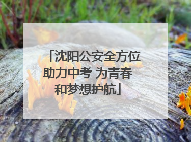 沈阳公安全方位助力中考 为青春和梦想护航