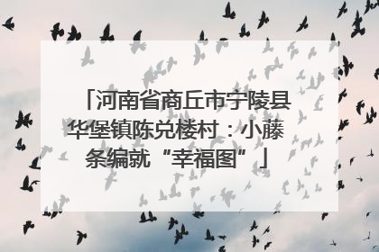 河南省商丘市宁陵县华堡镇陈兑楼村：小藤条编就“幸福图”