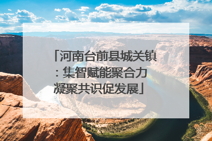 河南台前县城关镇：集智赋能聚合力 凝聚共识促发展