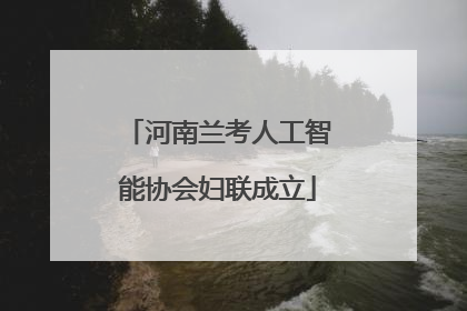 河南兰考人工智能协会妇联成立