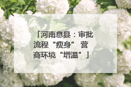 河南息县：审批流程“瘦身” 营商环境“增温”
