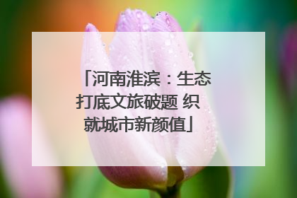 河南淮滨：生态打底文旅破题 织就城市新颜值
