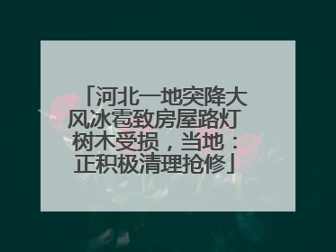 河北一地突降大风冰雹致房屋路灯树木受损，当地：正积极清理抢修