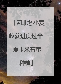 河北冬小麦收获进度过半 夏玉米有序种植
