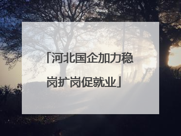 河北国企加力稳岗扩岗促就业
