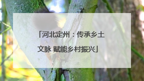 河北定州：传承乡土文脉 赋能乡村振兴