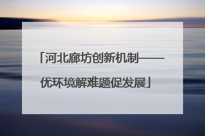 河北廊坊创新机制——优环境解难题促发展