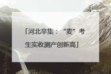 河北辛集：“麦”考生实收测产创新高