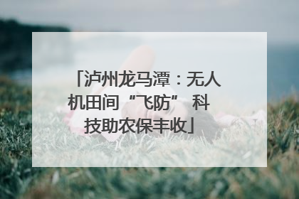泸州龙马潭：无人机田间“飞防” 科技助农保丰收