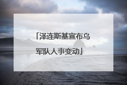 泽连斯基宣布乌军队人事变动