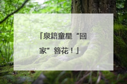 泉籍童星“回家”簪花！