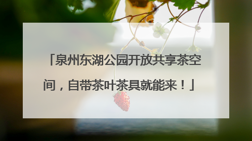 泉州东湖公园开放共享茶空间，自带茶叶茶具就能来！