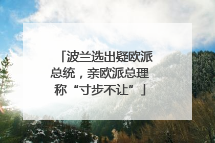 波兰选出疑欧派总统，亲欧派总理称“寸步不让”