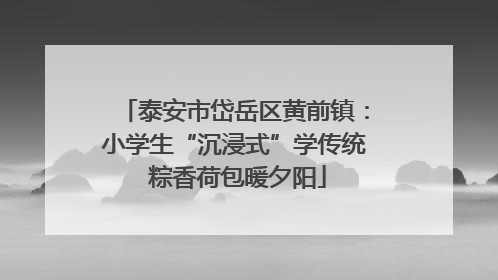 泰安市岱岳区黄前镇：小学生“沉浸式”学传统 粽香荷包暖夕阳