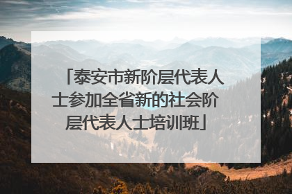 泰安市新阶层代表人士参加全省新的社会阶层代表人士培训班