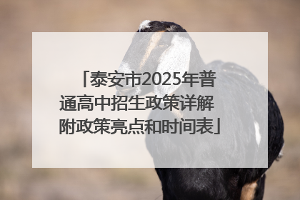 泰安市2025年普通高中招生政策详解 附政策亮点和时间表