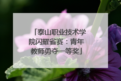 泰山职业技术学院闪耀省赛：青年教师勇夺一等奖