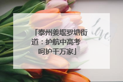 泰州姜堰罗塘街道：护航中高考 呵护千万家