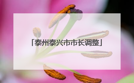 泰州泰兴市市长调整