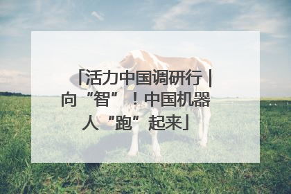 活力中国调研行｜向“智”！中国机器人“跑”起来