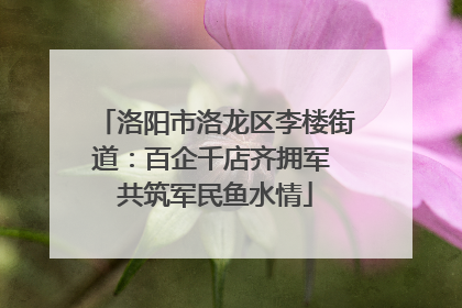 洛阳市洛龙区李楼街道：百企千店齐拥军 共筑军民鱼水情
