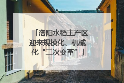 洛阳水稻主产区迎来规模化、机械化“二次变革”