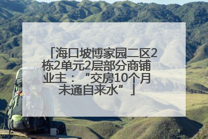海口坡博家园二区2栋2单元2层部分商铺业主：“交房10个月未通自来水”
