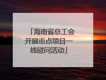 海南省总工会开展重点项目一线慰问活动