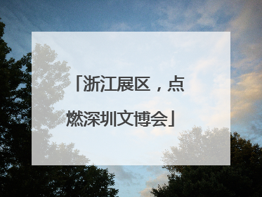 浙江展区，点燃深圳文博会