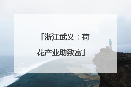 浙江武义：荷花产业助致富