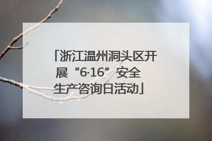 浙江温州洞头区开展“6·16”安全生产咨询日活动