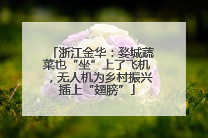浙江金华：婺城蔬菜也“坐”上了飞机，无人机为乡村振兴插上“翅膀”