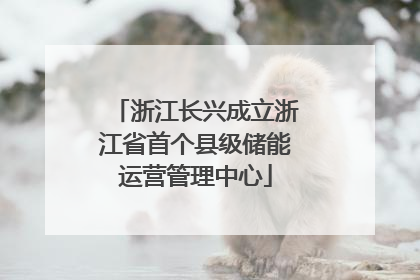 浙江长兴成立浙江省首个县级储能运营管理中心