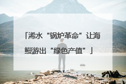 浠水“锅炉革命”让海鳗游出“绿色产值”