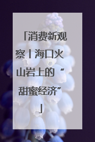 消费新观察丨海口火山岩上的“甜蜜经济”
