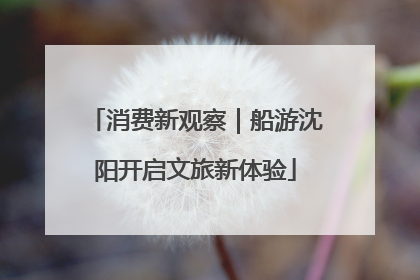 消费新观察｜船游沈阳开启文旅新体验
