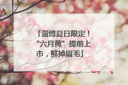 淄博夏日限定！“六月黄”提前上市，鲜掉眉毛