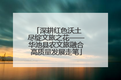 深耕红色沃土 尽绽文旅之花——华池县农文旅融合高质量发展走笔