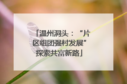 温州洞头：“片区组团强村发展”探索共富新路