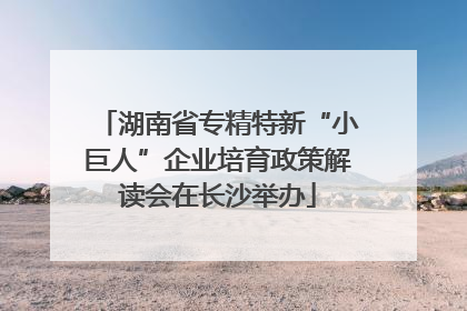 湖南省专精特新“小巨人”企业培育政策解读会在长沙举办