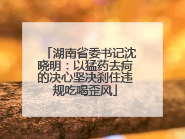 湖南省委书记沈晓明：以猛药去疴的决心坚决刹住违规吃喝歪风